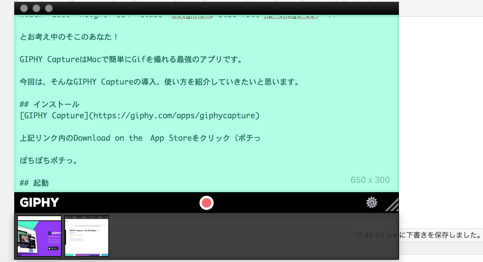 Macでgifを撮るのに便利 Giphy Capture Windiiテック